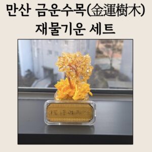 만산 금운수목(金運樹木) 재물기운 세트 💰🌳