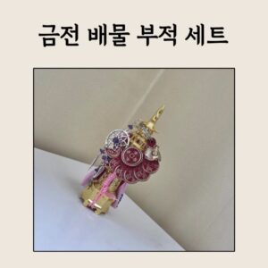 🪄 금전 배물 부적 세트 – 붉은 물고기 동전연쇄 & 은빛 수호링 에디션