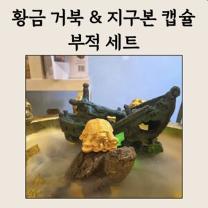 ✨ 황금 재복거북 & 지구본 캡슐 부적 세트